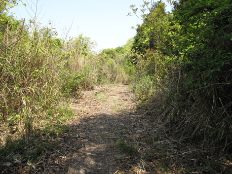 20140426hike (76)